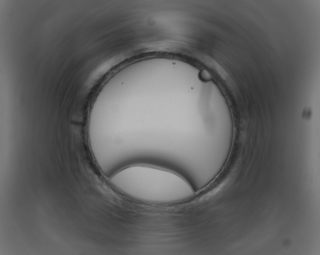 X0000093500922200710121040
