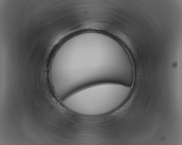 X0000093500923200710121040