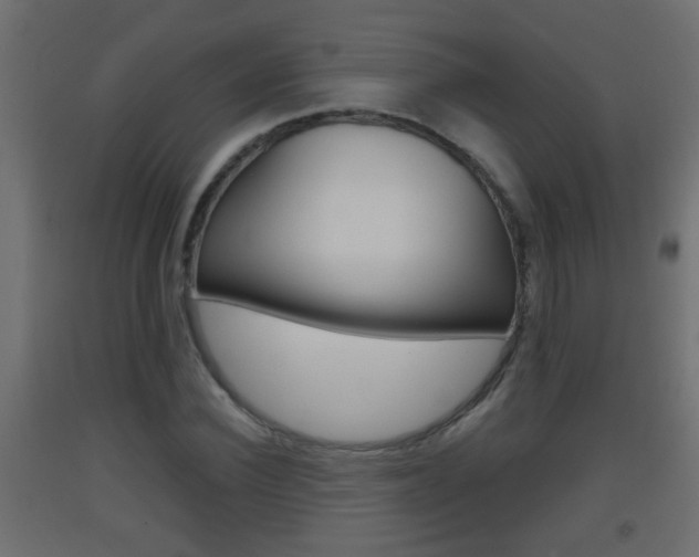X0000093500924200710121040