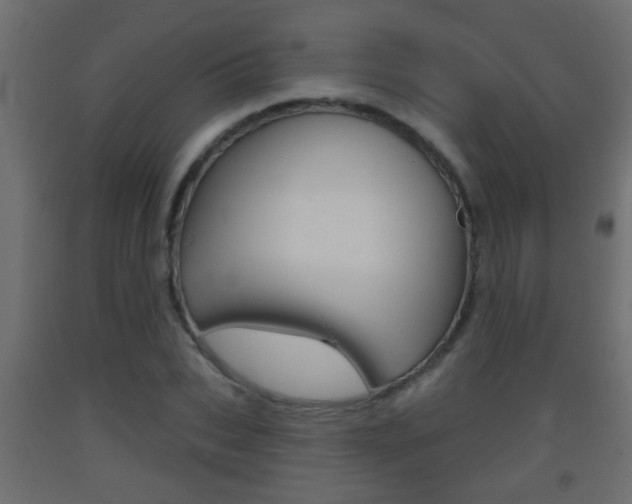X0000093500927200710121040