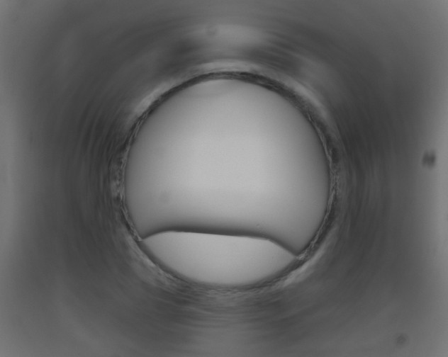 X0000093500929200710121040