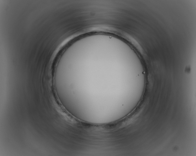 X0000093500931200710121040