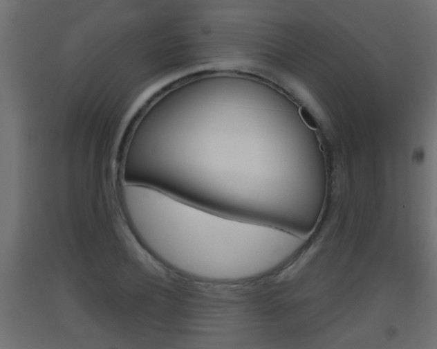 X0000093500932200710121040