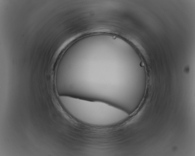 X0000093500933200710121040