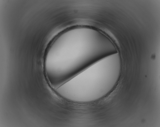 X0000093500935200710121040