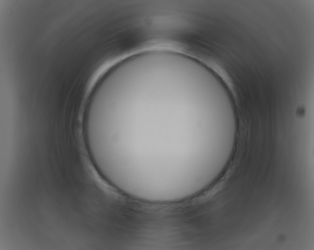X0000093500936200710121040
