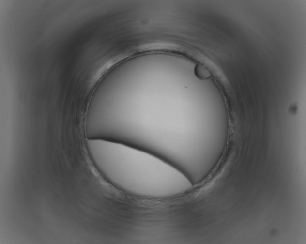 X0000093500937200710121040