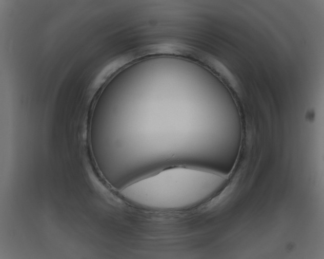 X0000093500938200710121040