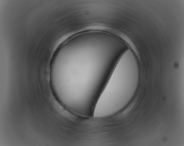X0000093500939200710121040