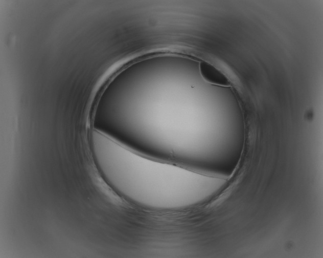 X0000093500940200710121040