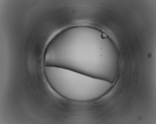 X0000093500941200710121040