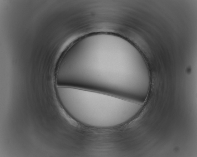 X0000093500942200710121040