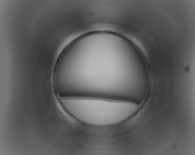 X0000093500943200710121040