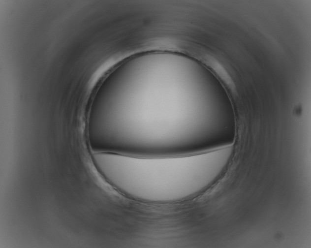 X0000093500944200710121040
