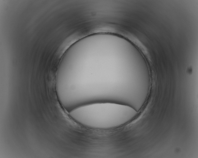 X0000093500945200710121040