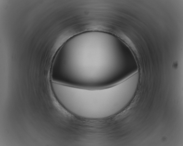 X0000093500946200710121040