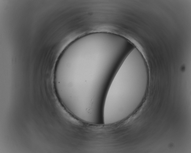 X0000093500949200710121040