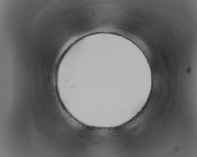 X0000093500950200710121040