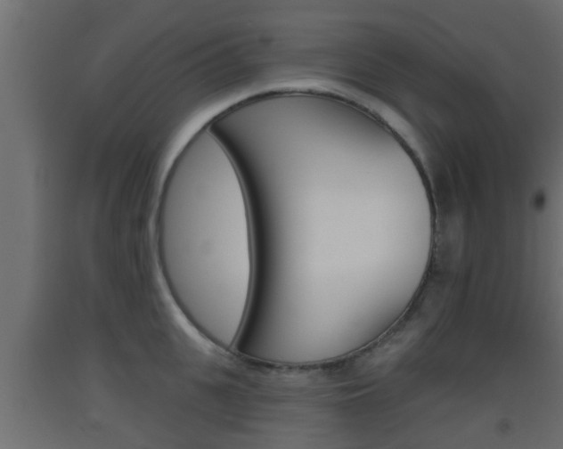 X0000093500951200710121040