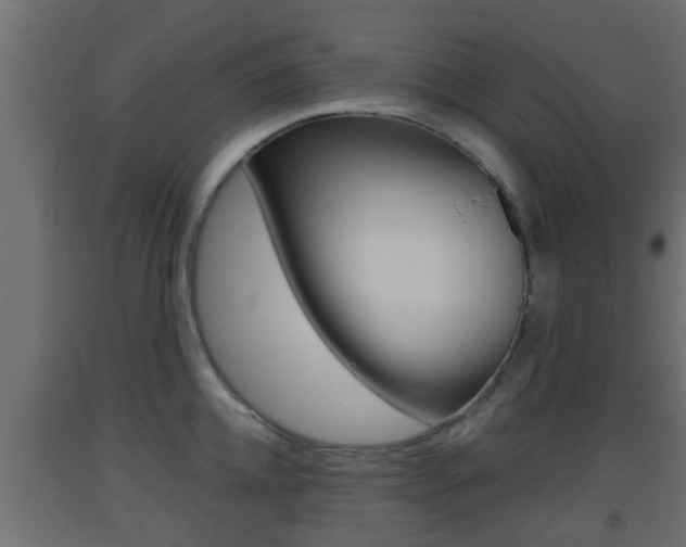 X0000093500952200710121040