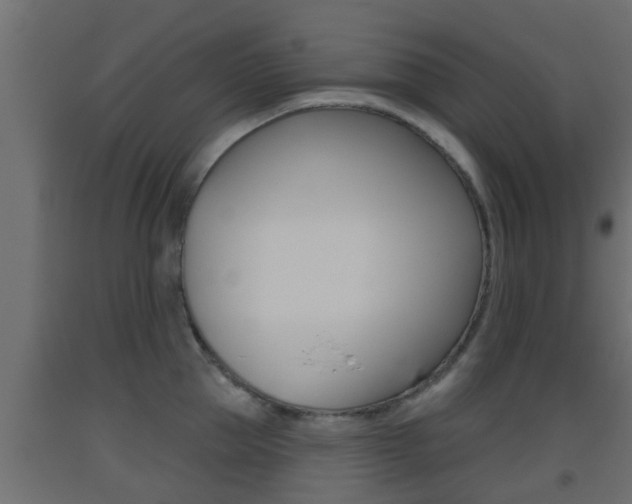 X0000093500953200710121040