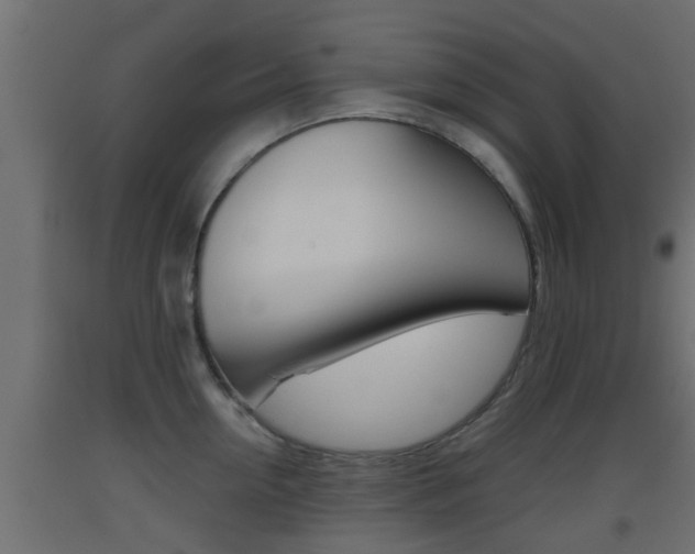 X0000093500954200710121040