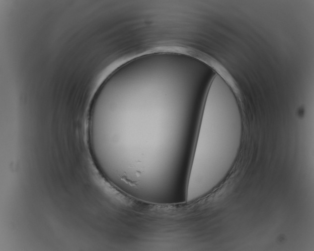 X0000093500955200710121040