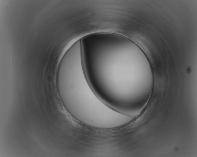 X0000093500956200710121040