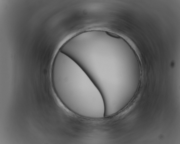 X0000093500957200710121040