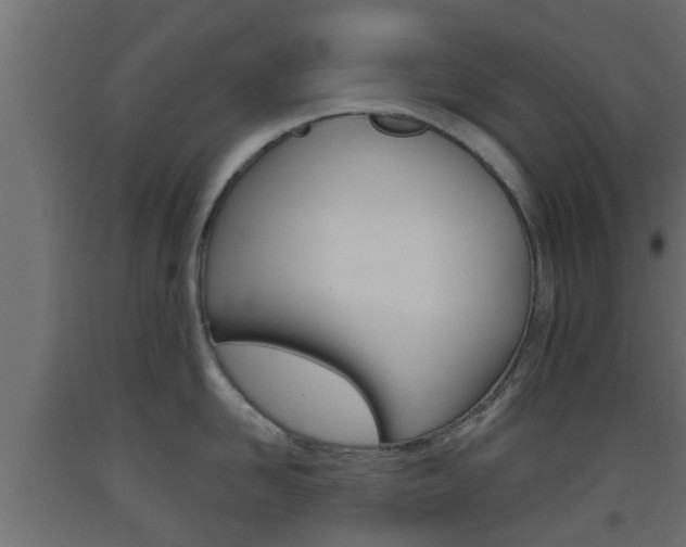 X0000093500958200710121040