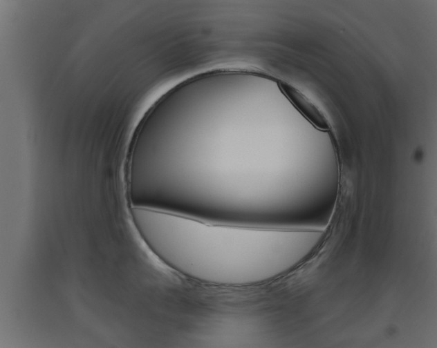 X0000093500959200710121040