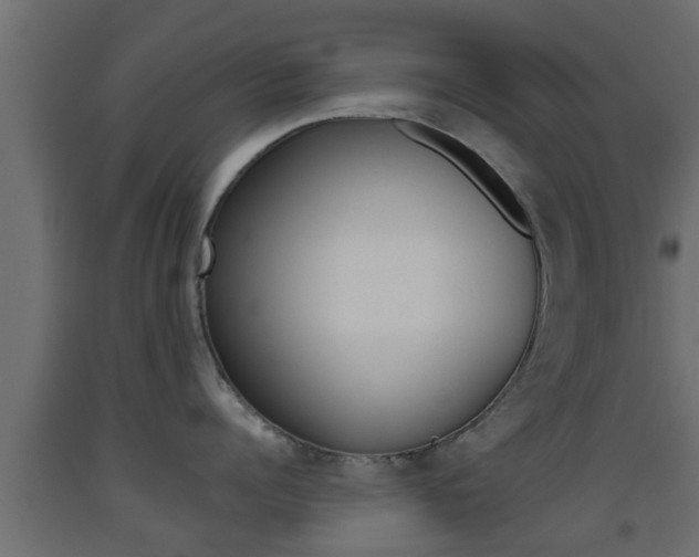 X0000093500960200710121040