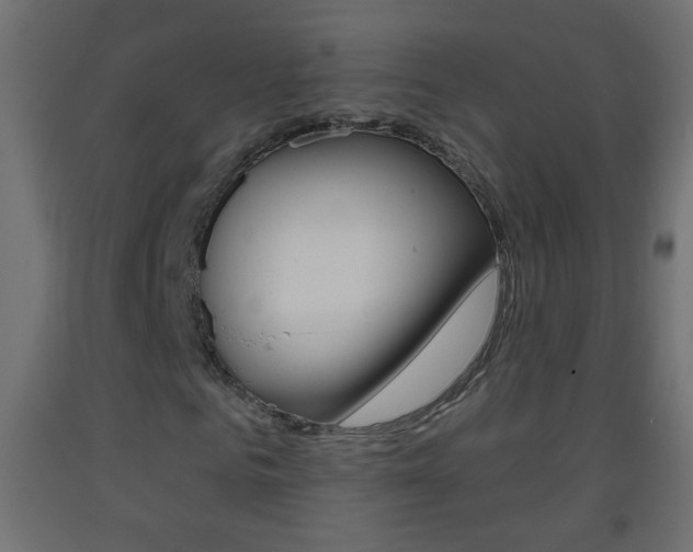 X0000093500961200710121040