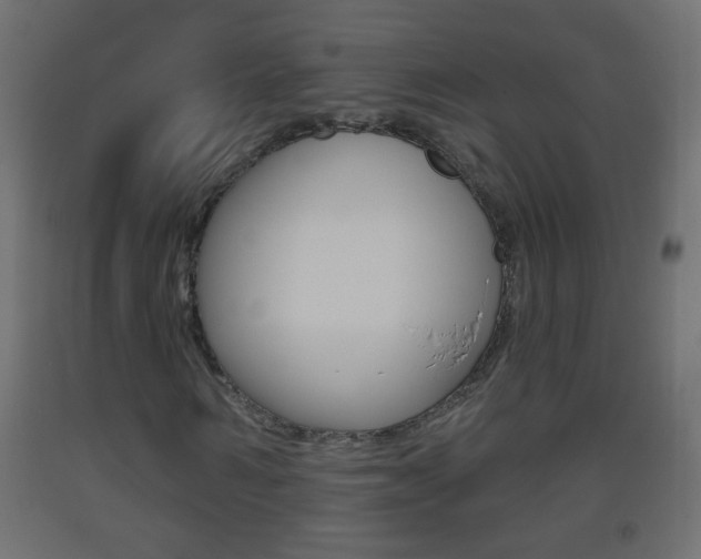 X0000093500962200710121040