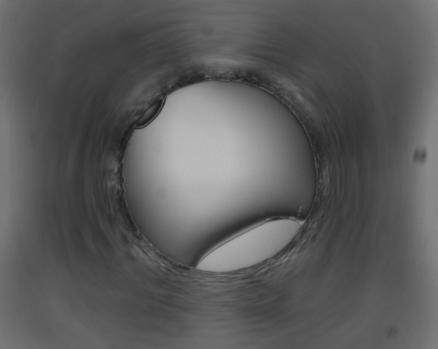 X0000093500964200710121040