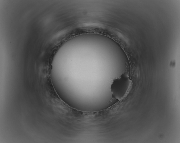 X0000093500965200710121040