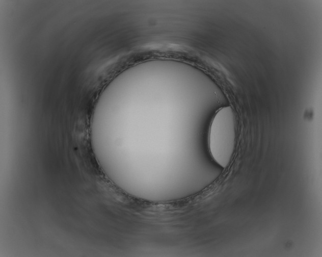 X0000093500966200710121040