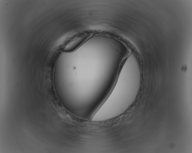 X0000093500968200710121040