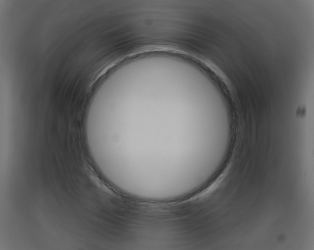 X0000093500969200710121040