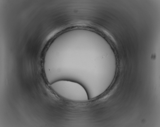 X0000093500970200710121040