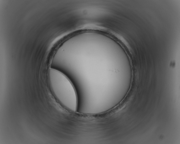 X0000093500971200710121040