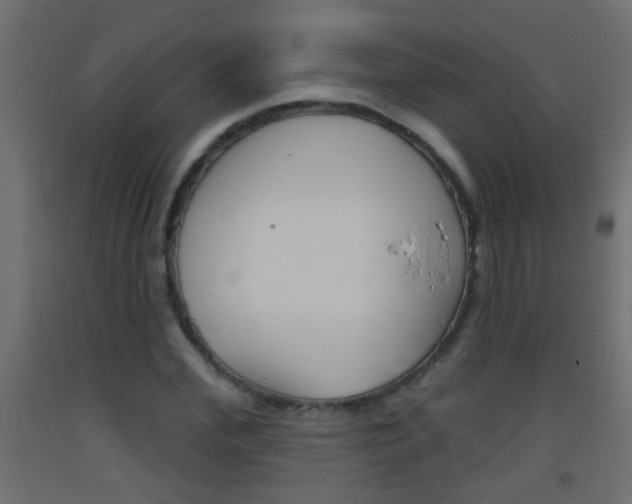 X0000093500972200710121040
