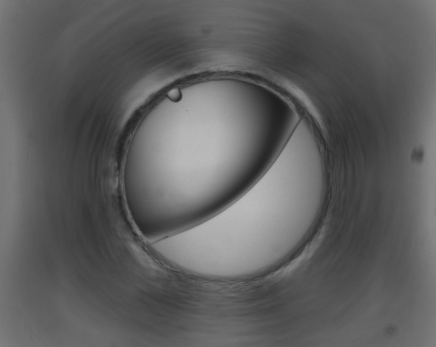 X0000093500973200710121040
