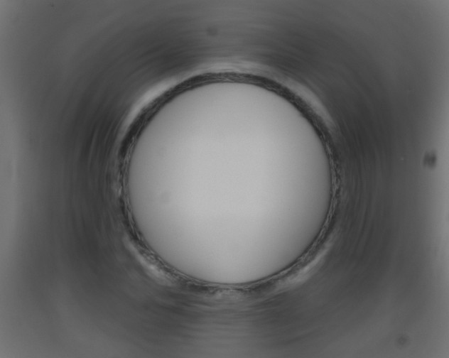 X0000093500974200710121040
