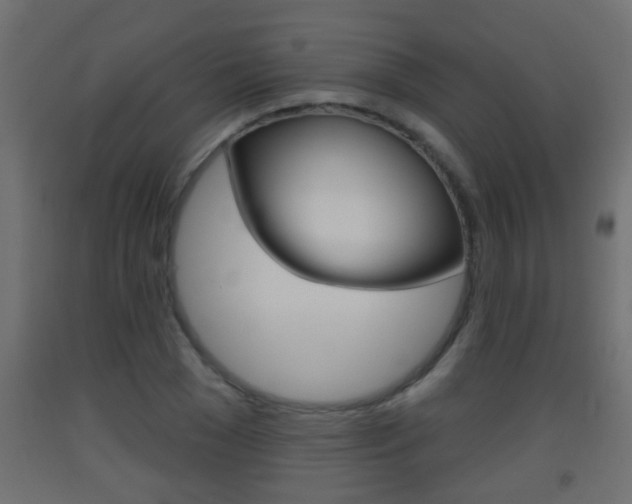 X0000093500977200710121040