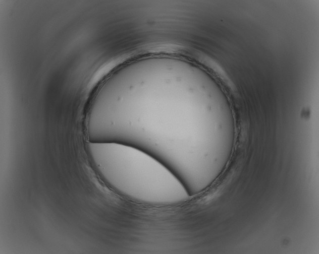 X0000093500978200710121040
