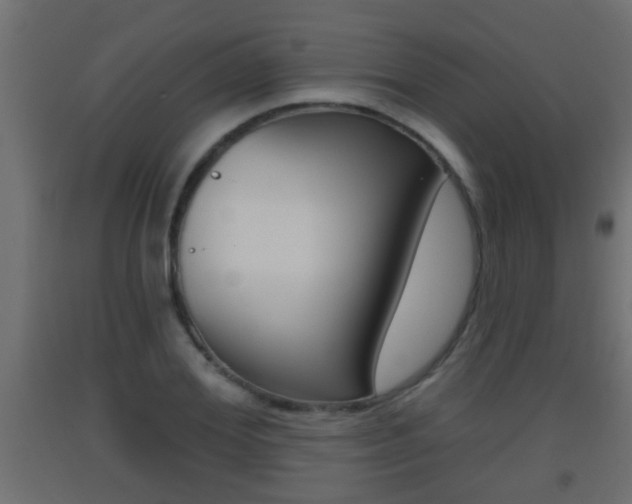 X0000093500980200710121039