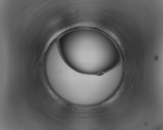 X0000093500981200710121039