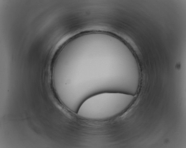 X0000093500982200710121039