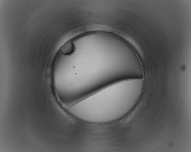 X0000093500983200710121039